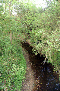 The River Til May 2011